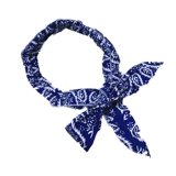 Кошка, собачья собачья шарф собаки кошки в летнем прозрачном кулерке с большим и средним для собачьей анти -лето