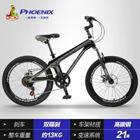 Phoenix Magnesium Alloy Student Car 21 Speed ​​Black and Grey