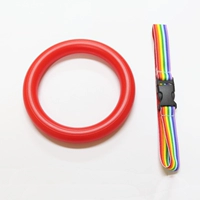 Красная секция