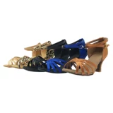 Профессиональные туфли для взрослых, танцующая практика