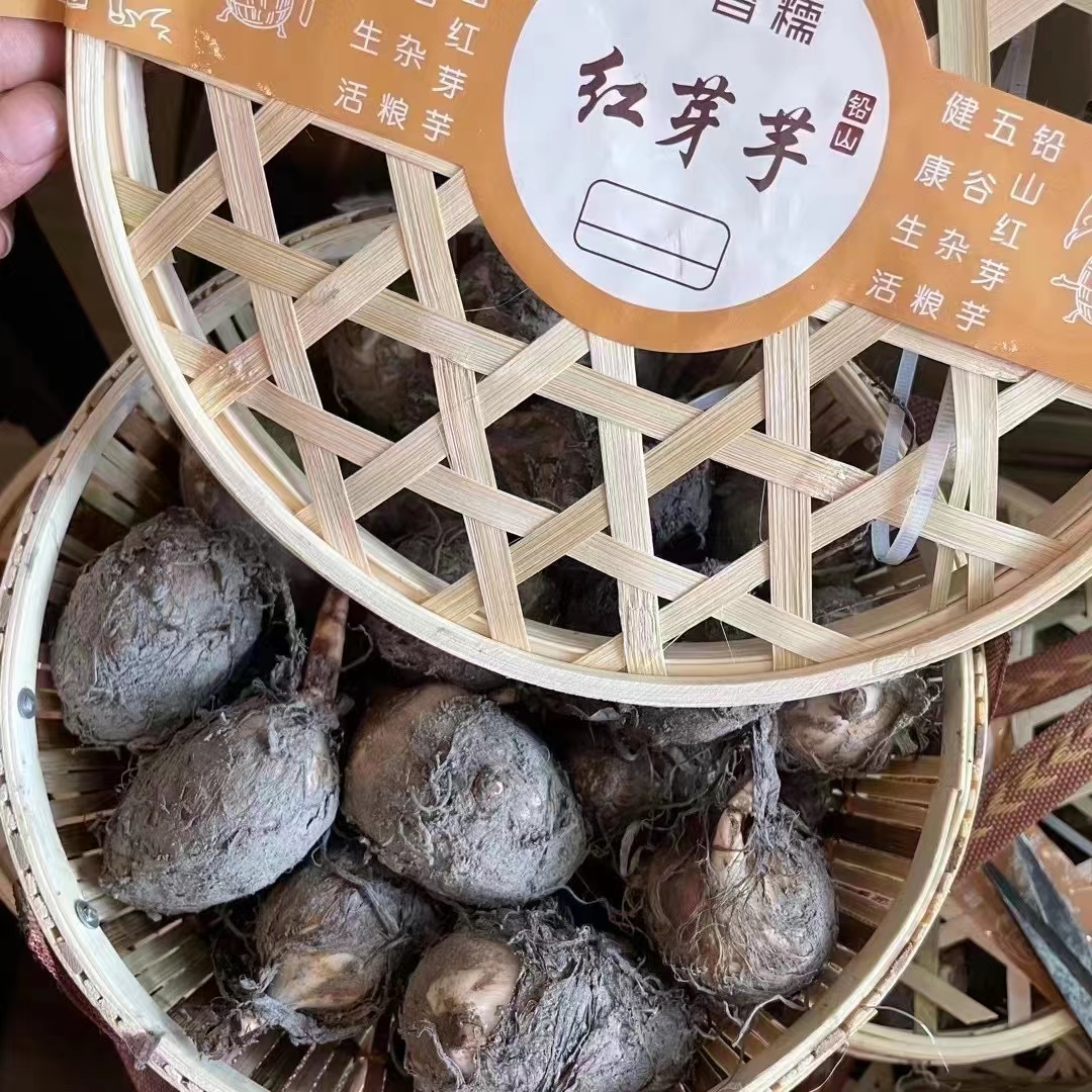口感香糯 上百年种植历史的花旗洋芋艿上市了-新闻中心-中国宁波网