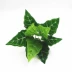 Mục vụ mô phỏng cây xanh trồng trong chậu sắp xếp hoa lá cây tường cửa nền vật liệu trang trí tường đơn lá xanh - Hoa nhân tạo / Cây / Trái cây