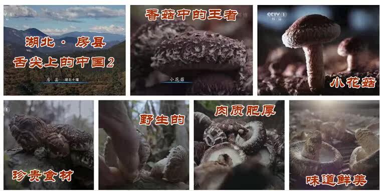 郧西贸易公司怎么选？本地批发采购与农资供货的实用指南