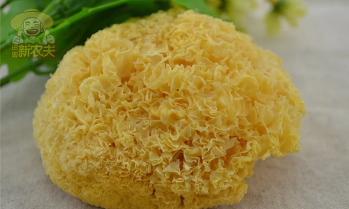 Фермерский дом Getta Natural Golden Tremella 250 г белых лесов Дикий снежный снежный ухо Уродные уши мягкие уши мягкие элипот