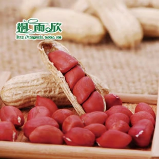 [Tong Yuxin_ Оригинальный арахис 205G] 6 кусочков бесплатной доставки, приготовленных с раковинами из четырех красных арахисов красные арахисы