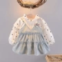 Nữ bé công chúa váy nhỏ mùa thu 0-1 bé gái 3-6 tháng 4 cotton 5 váy 12 mùa thu - Váy váy thu đông đẹp cho bé