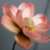 Hoa sen mới mô phỏng theo phong cách Trung Quốc Lá sen đơn cho hoa sen Phật trang trí hoa giả trang trí nội thất hoa nghệ thuật - Trang trí nội thất những đồ vật trang trí phòng khách Trang trí nội thất
