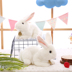 Chính hãng New Rabbit Rabbit Plush Toy Mô phỏng Thỏ trắng Búp bê Ragdoll Thỏ Sinh nhật Con gái Quà tặng - Đồ chơi mềm búp bê em bé Đồ chơi mềm