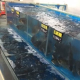 Пресная вода в супермаркете производит цены с морепродуктами ценовые пластины, висящие поп -листинг фрукты и этикетки овощных продуктов