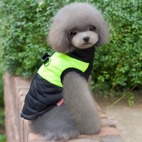 Тедди утолщенный зимний питомец с пиджаком с собачьем хлопчатобу