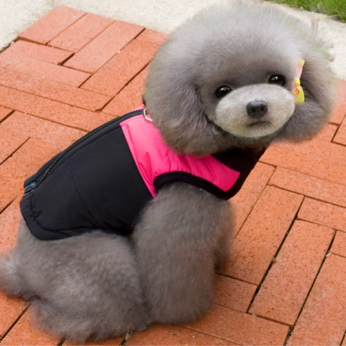 Тедди утолщенный зимний питомец с пиджаком с собачьем хлопчатобу