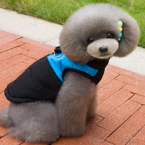 Тедди утолщенный зимний питомец с пиджаком с собачьем хлопчатобу