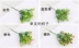 Mô phỏng Milan trang trí hạt hoa giả vườn hoa gió phân vùng cắm hoa chậu cắm hoa vật liệu nhựa hoa đạo cụ chụp - Hoa nhân tạo / Cây / Trái cây lan giả hạc rừng Hoa nhân tạo / Cây / Trái cây