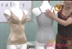 Hàng hóa xuất khẩu của Nhật Bản siêu tập trung vào việc điều chỉnh hỗ trợ bụng corset với khóa phía trước mà không có vành áo ngực
