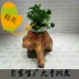 Trung Quốc linh sam chạm khắc phân gỗ gốc cây ngồi trên bến tàu uống trà phân lớn băng ghế đẩu hoa khung ngọc cơ sở bonsai - Các món ăn khao khát gốc bàn ghế gốc cây tràm Các món ăn khao khát gốc