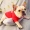 Tide thương hiệu trang phục thú cưng Fuku Keji mùa xuân tải gió Anh áo cổ tròn áo bò Pháp bắt nạt lưới đỏ quần áo chó - Quần áo & phụ kiện thú cưng