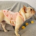 Little Tail Pet Quần áo Net Quần áo đỏ Pháp Bò Quần áo Pet Corgi Pug Dog Vest Ying Dou - Quần áo & phụ kiện thú cưng Quần áo & phụ kiện thú cưng