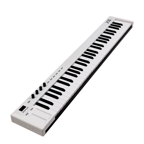 Противовес, клавиатура, x2, x3, x4, x6, 25 клавиш, 37 клавиш, 49 клавиш, 61 клавиш