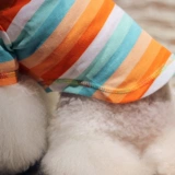 Nicovaer nim wil осенний домашний животный Polo Polo Top T -Fort Dog Одежда Teddy 146/5