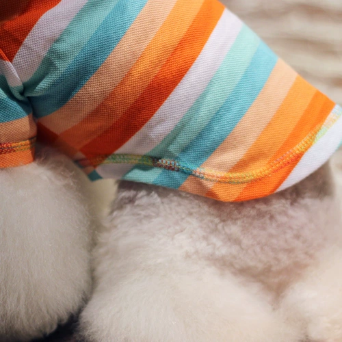 Nicovaer nim wil осенний домашний животный Polo Polo Top T -Fort Dog Одежда Teddy 146/5