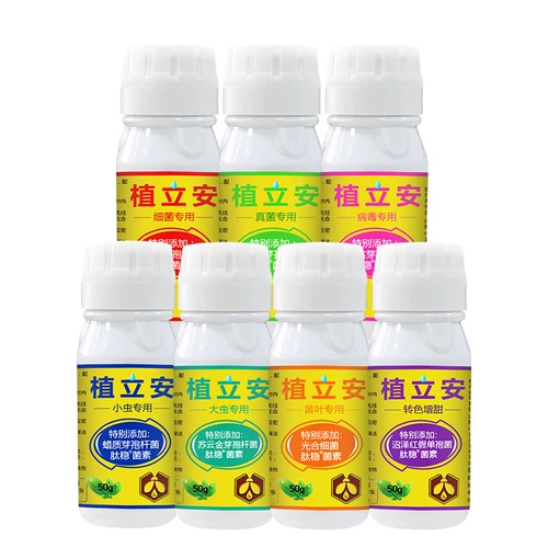 Кангуанский оазис посадка бактериального бактериального грибкового вируса вирус желтые листовые заболевания Большой и мелкие насекомые плесень кремовой кремовой плесени и другие 50 г