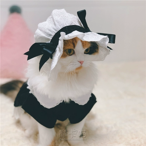 Костюмированная костюм кошачья кошачья кост