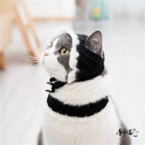 Милая шапка, шарф, шарф-платок, трикотажный комплект ручной работы, фальшивый воротник, аксессуар, косплей