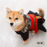 Демисезонный пуховик, ханьфу, юбка, плащ, косплей, наряжаться