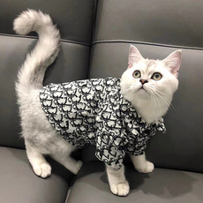 Одежда для животных 77 猫咪衬衫宠物小型 狗狗大型犬狗狗衬衫泰迪比熊英伦风猫猫衣服