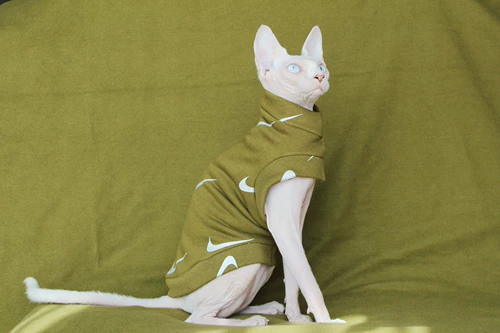 Пользовательская анти -офф -зеленая одежда для кошачьей одежду. Хлопковое вязание осень и зимнее согревание Dapan Sphinx