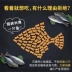 Tốt hương vị thức ăn cho mèo Hải sản cá hương vị đầy đủ thời gian mèo mèo thực phẩm 500g thấp muối mèo thức ăn chính 1 kg