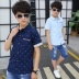 Chàng Trai mùa hè Ngắn Tay Áo Top 12 Cậu Bé Lớn Cotton Boy Con Hàn Quốc Áo Sơ Mi 15 Năm Mùa Hè 13 Hàn Quốc Phiên Bản