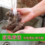 Chuanxiong лекарственный материал 500 грамм бесплатной доставки таблетки Chuanxiong Chuanqiong китайская медицина Chuanxiong panchukawa skinchi pink pink chuanxuan chuanxiong