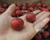 Стоудинг нонгжия самостоятельно, продуцированный боярышник, свежее, без боярышника, сухой чай Специальный боярышник сухой 250 г Боярышник