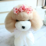 Pet Cards Summer Wave Dot Chefon Bow Hair Clip Teddy Yorkyonal Malzis Dog Clip Headrress