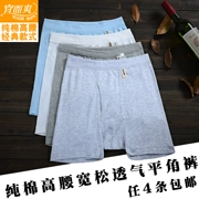 Đồ lót nên và mát mẻ Chính hãng cho nam Quần boxer cotton co giãn cao eo rộng thoáng khí Quần short cotton CL814N