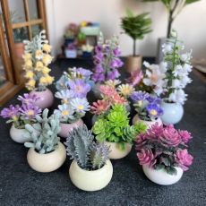 bjd场景道具娃屋 迷你仿真盆栽娃娃屋家具摆件12分6分bjd道具盲盒鱼缸造景摆件桌面