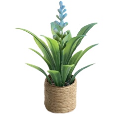 bjd场景道具娃屋 六分blythe植物盆栽ob11娃屋迷你微缩仿真绿植摆件绿植12分8分