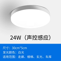 Контроль 24 Вт-голос (индукция на целый день)