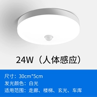 Физиологичный, индукционный, 24W