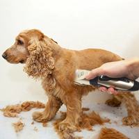 Устройство для бритья собак Профессиональные электрические ножницы PET кот плюшевый размер среднего размера.