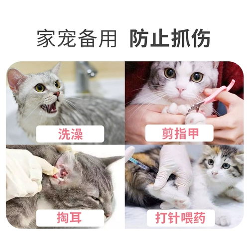 Чехол на кошачью лапу для защиты лап котенка от царапин и укусов.