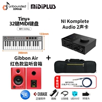 [Tiny+] 32 Ключ+Роторный соединение+Custom Piano Bag+Ni Koplete Audio 2 звуковая карта+банановая обезьяна Gibbon Air Red Monitoring