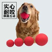 Эластичная резиновая игрушка для тренировок, домашний питомец