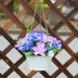 Mô phỏng giỏ treo hoa trang trí hoa lan treo trong chậu treo hoa giả cây xanh mô phỏng hoa lan trần giả hoa treo tường - Hoa nhân tạo / Cây / Trái cây Hoa nhân tạo / Cây / Trái cây