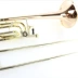 Hoa Kỳ Baja 36BO B F Điều chỉnh Điều chỉnh Nhạc cụ Alto Trombone Nhạc cụ Đồng Phosphor Mỹ - Nhạc cụ phương Tây Nhạc cụ phương Tây