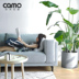 Tuyệt vời vải sofa gỗ màu đứng Bắc Âu ba chút nhỏ căn hộ hiện đại phòng khách nhỏ gọn đã sẵn sàng để Connaught vải mủ - Ghế sô pha sofa phòng khách giá rẻ Ghế sô pha