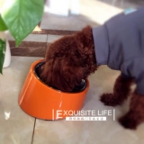 Сахарная сестра Houp Dog Bowl, высокая миска, миска Liangwan, Giffer Dou Dou Doub Boad Boat для защиты шейного кошачьего чаши шейки матки