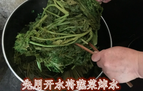 Shaanxi Hanzhong Special Product