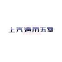 [Saic -gm wuling] Слово наклейки в скобках
